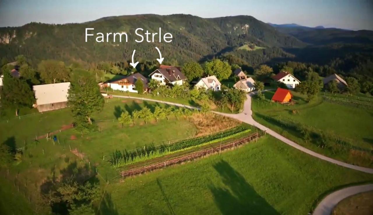 Villa Tourist Farm Strle With Great Local Food à Cerknica Extérieur photo