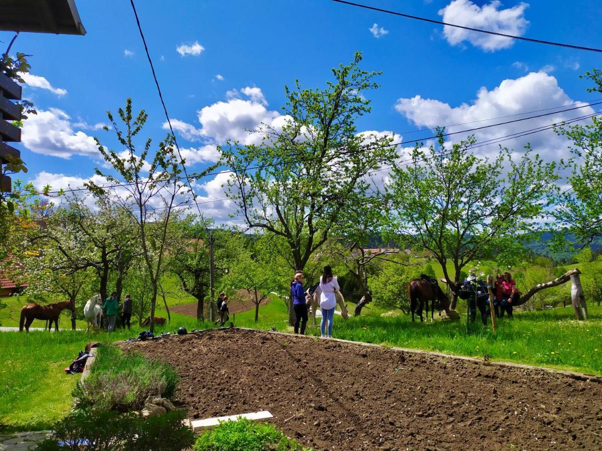 Villa Tourist Farm Strle With Great Local Food à Cerknica Extérieur photo