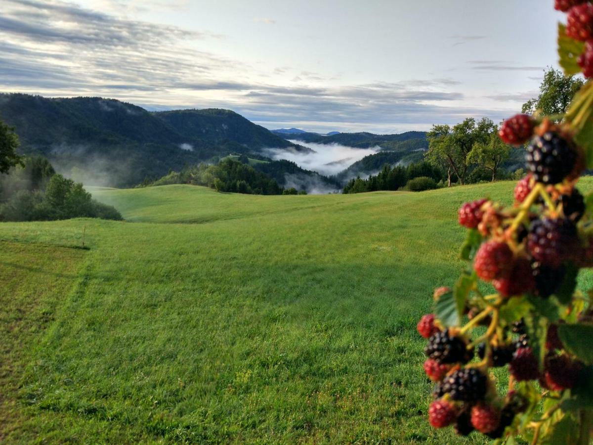Villa Tourist Farm Strle With Great Local Food à Cerknica Extérieur photo