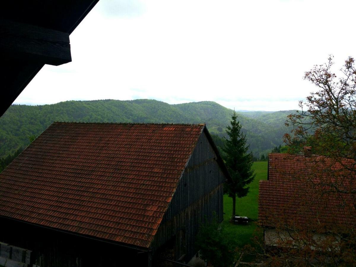 Villa Tourist Farm Strle With Great Local Food à Cerknica Extérieur photo