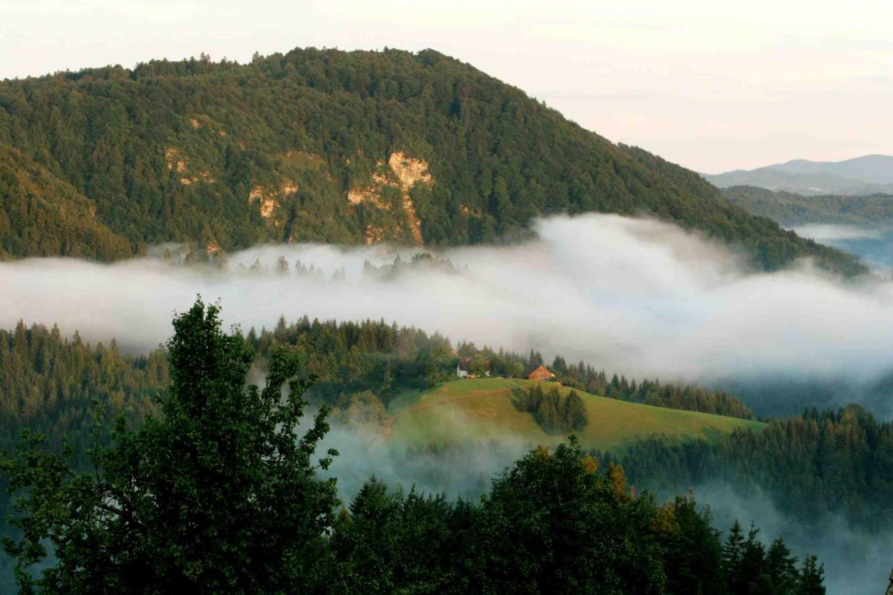 Villa Tourist Farm Strle With Great Local Food à Cerknica Extérieur photo