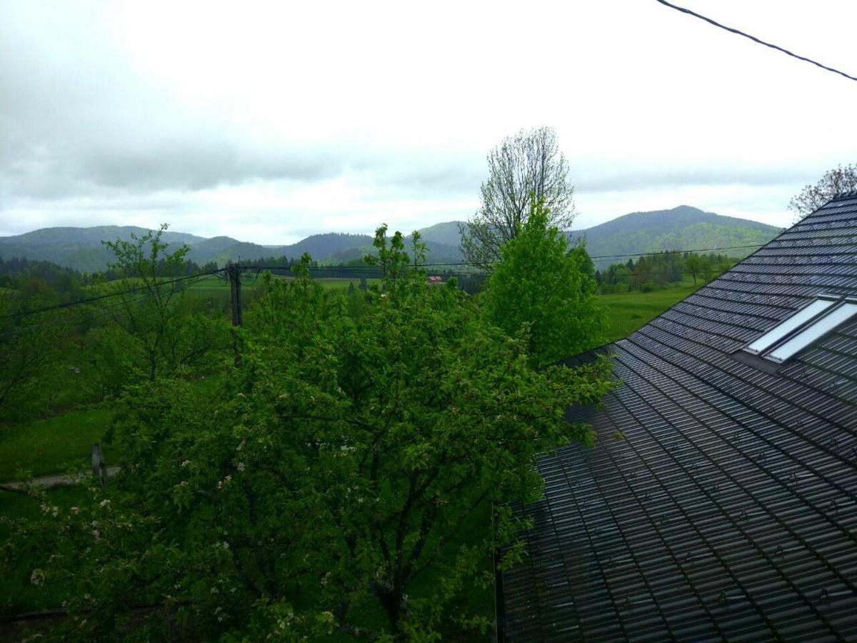 Villa Tourist Farm Strle With Great Local Food à Cerknica Extérieur photo